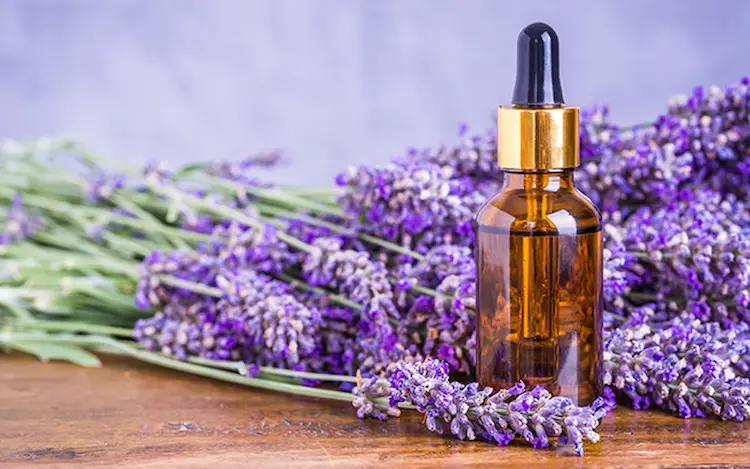 lavender-essential-oil-natural-skin