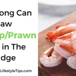 how-long-does-shrimp-store-in-the-fridge
