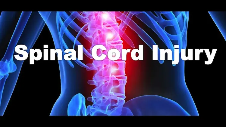 what-is-spinal-cord-injury